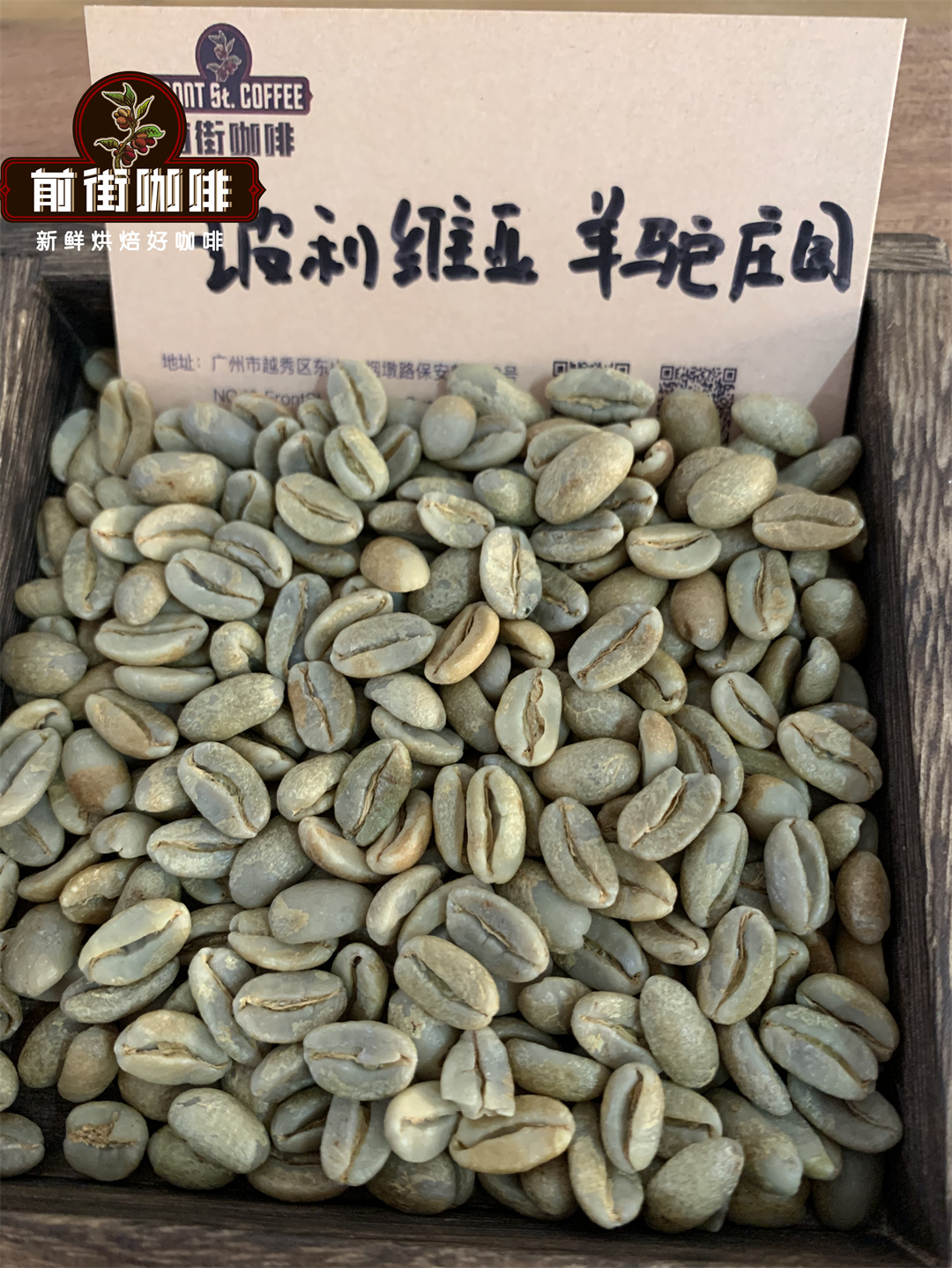 Bolivia Coffee Processing