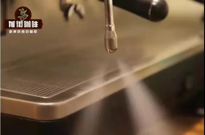 Steam wand purging water before frothing milk