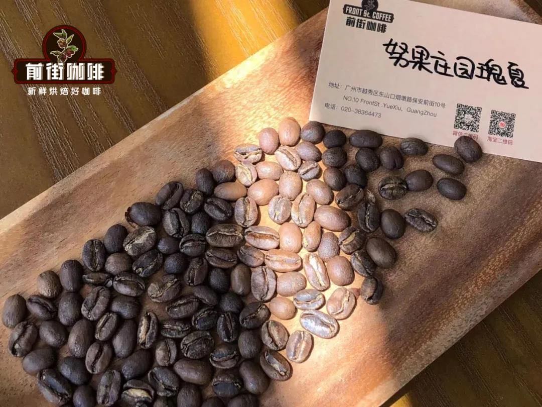 Finca Deborah Coffee Processing