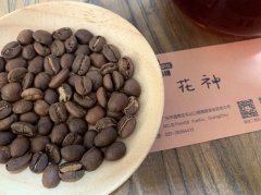 The Impact of Volcanic Environment on Coffee: Flavor Characteristics of Guatemalan Volcanic Region Antigua Coffee Beans