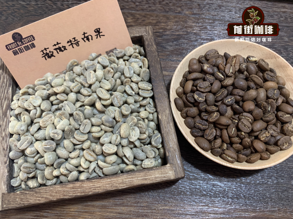 Coffee beans being sorted by size through a screening process