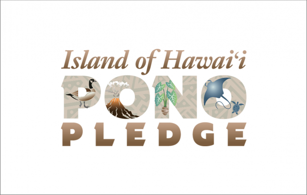 Puna coffee region landscape