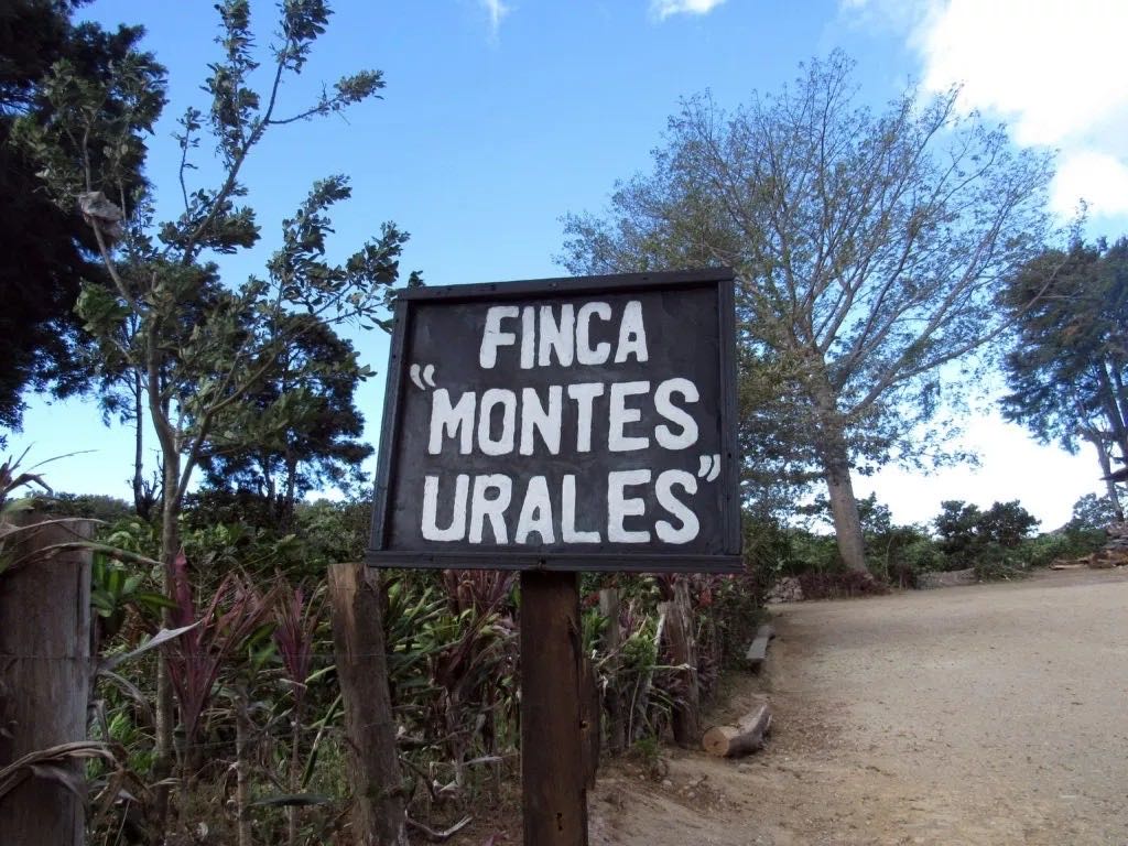 Coffee beans from El Salvador