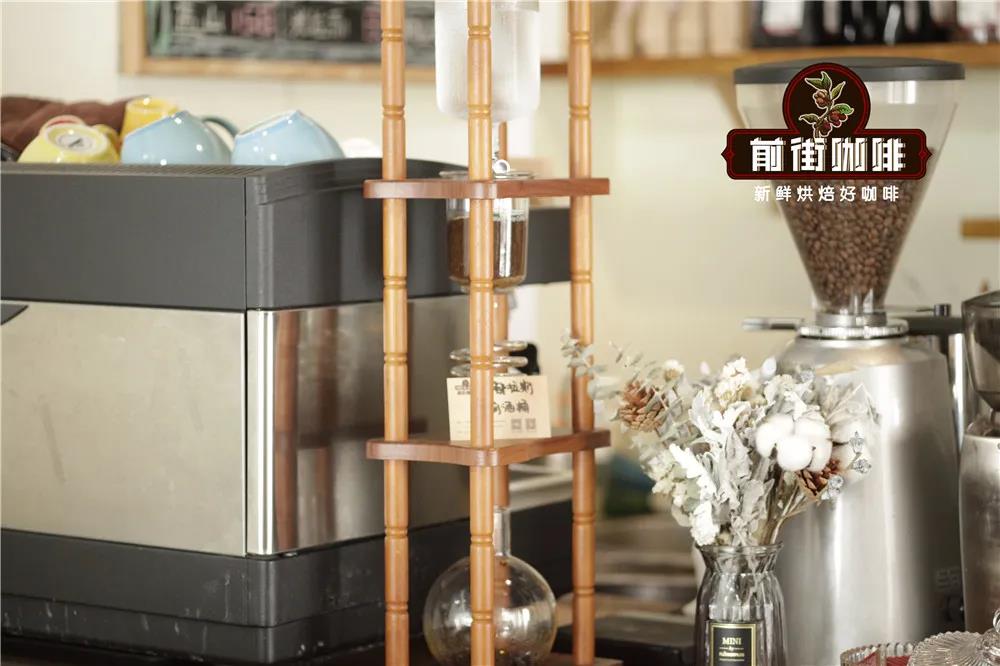 Iced drip coffee maker with slow dripping process