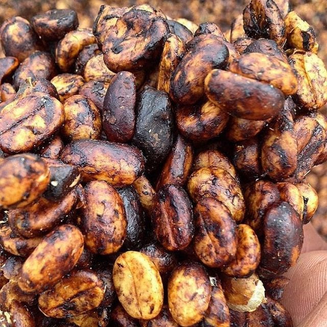 Black honey processed coffee beans