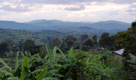 Rwanda coffee regions