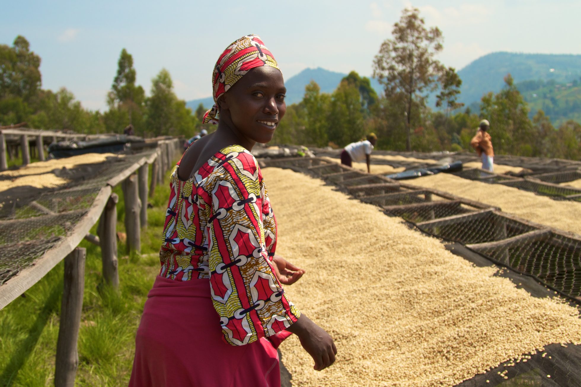 Rwanda washed processing