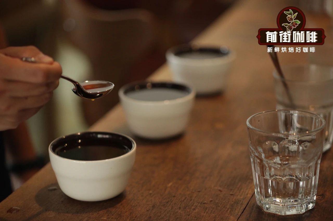 Panama Geisha coffee cup