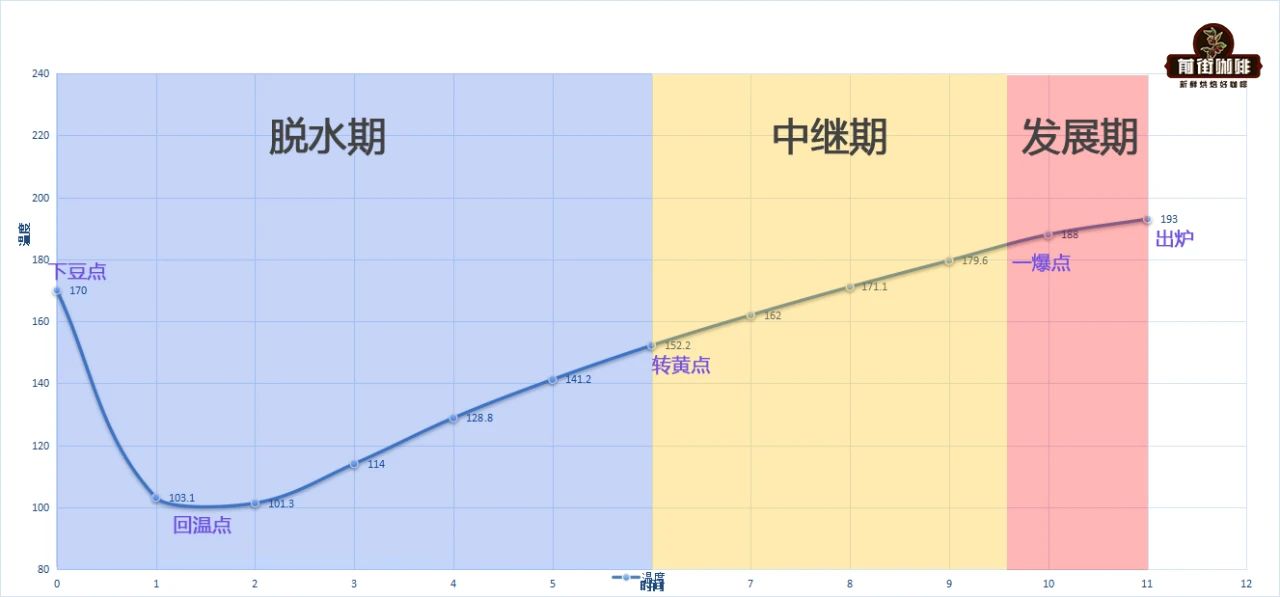 Coffee beans during the intermediate phase showing expansion