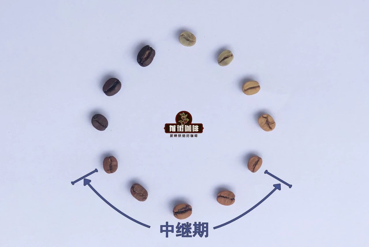 Coffee roasting equipment with Brazil Red Bourbon beans