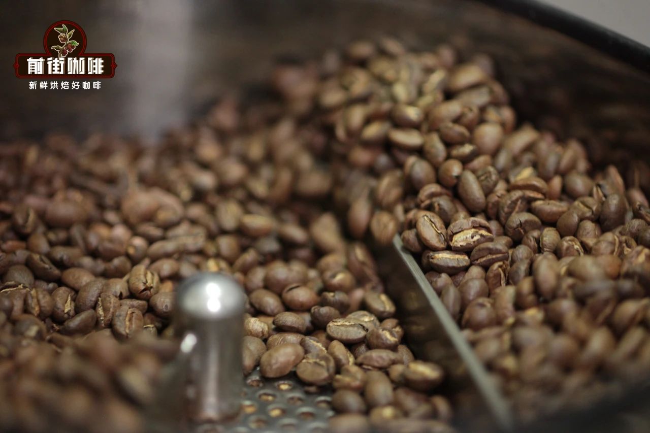 Yirgacheffe coffee beans and roasted samples comparison