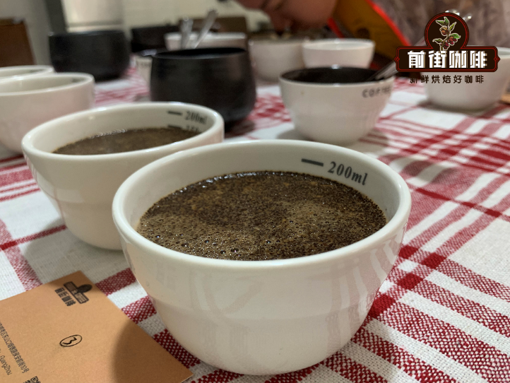 Coffee cupping session with aroma evaluation