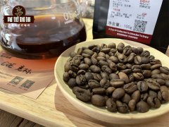 Is the Acidity in Specialty Coffee Called Coffee Acidity? What is the Acidity of Coffee and Is There Scientific Evidence?