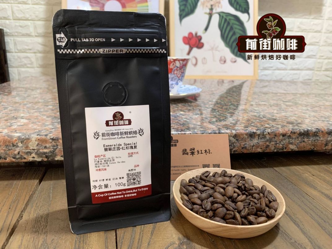 Panama Geisha Coffee