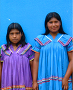 Coffee beans at La Amistad Estate