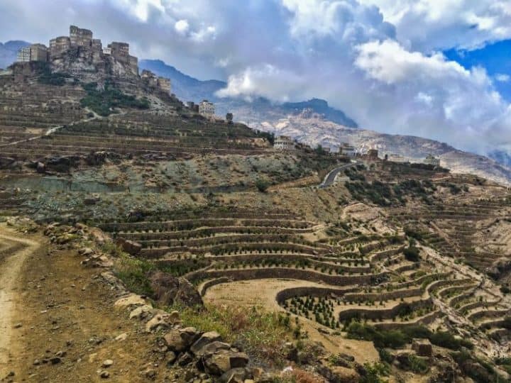 Coffee cultivation terraces in Yemen's mountainous regions
