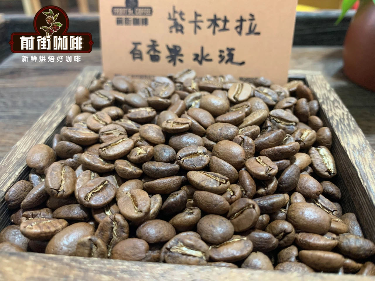 Colombia Passion Fruit Enzyme Washed Purple Caturra