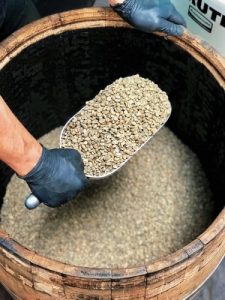 Aged Sumatra Coffee Beans Display