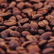 Is Black Coffee Made by Directly Grinding Coffee Beans into Powder? Instant Coffee VS Pre-Ground Coffee and Freeze-Dried Instant Coffee Explained