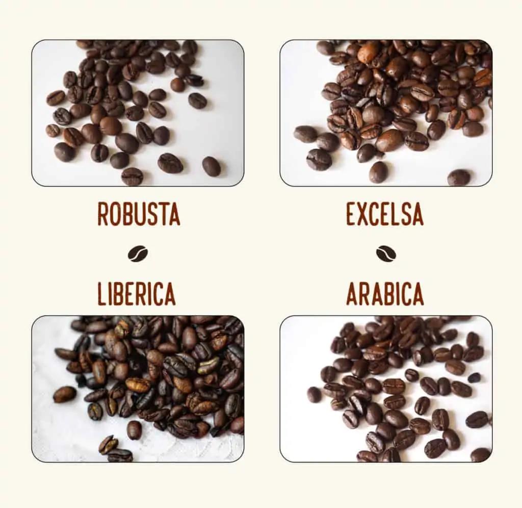 Coffee beans comparison
