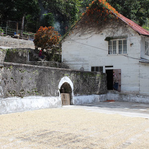 Rwanda coffee washing station
