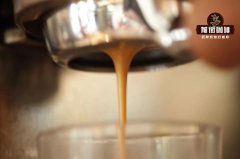 Why Pour-Over Coffee Lacks Crema: What Is Coffee Crema and Why Do Coffee Beans Produce Oil?