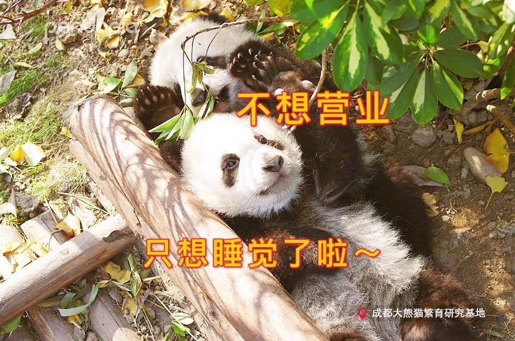 Person sleeping in bed