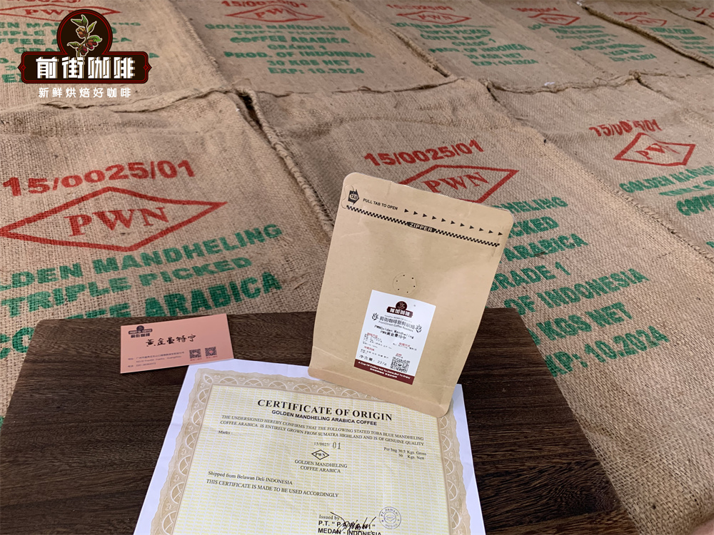 PWN Gold Mandheling vs. Lin Dong Mandheling Coffee Beans: Pour-Over Flavor Profile Differences