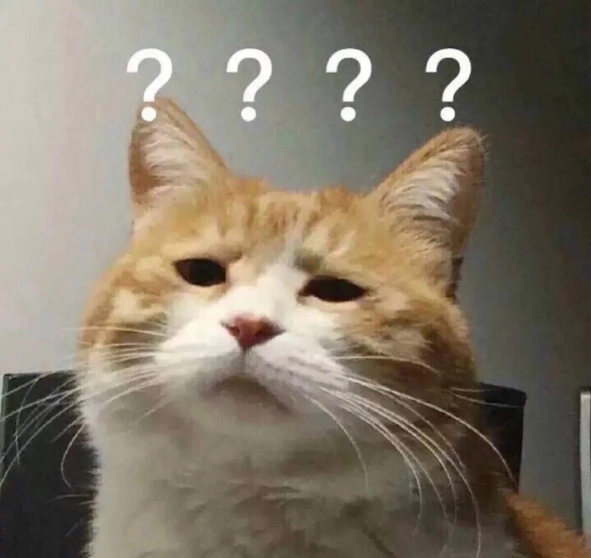 Barista and customer having a conversation about coffee