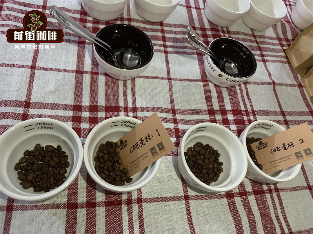 Coffee cupping setup with various equipment and coffee samples