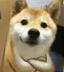 Tongue says: In the end, it's still because of me