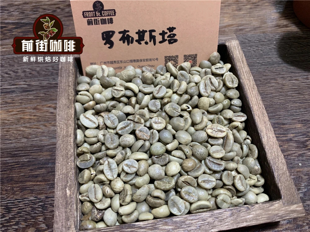 Arabica coffee beans