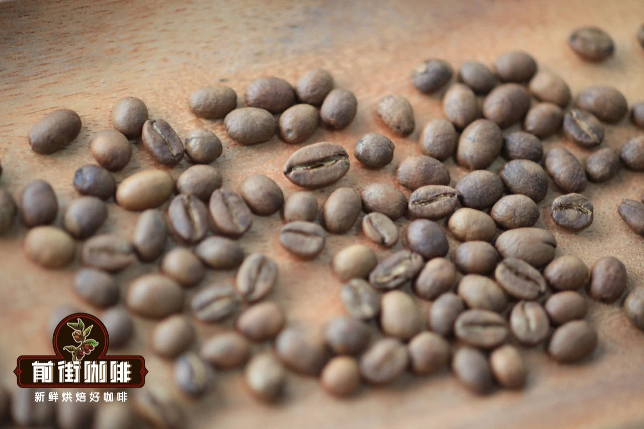 Coffee bean roasting process