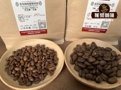 The Difference Between Coffee Beans and Ground Coffee Do Coffee Beans and Ground Coffee Stay Fresh for the Same Amount of Time