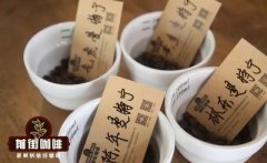 Is Indonesian Golden Mandheling Coffee an Arabica Variety? The Difference Between Mandheling and Arabica Coffee Beans