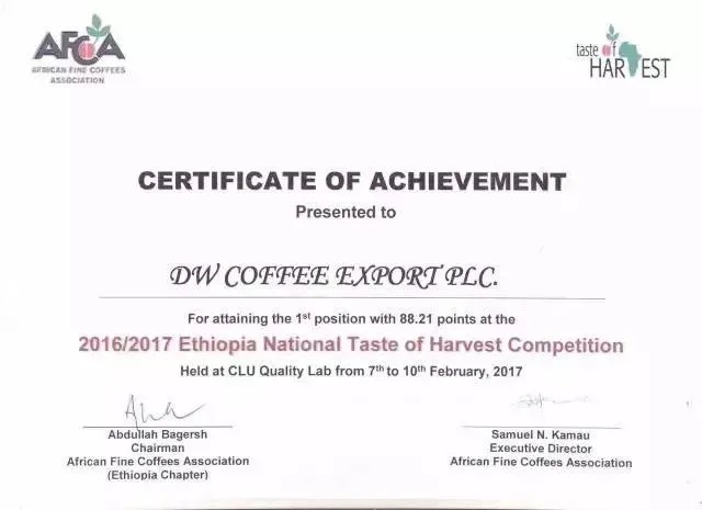Coffee Brewing Competition