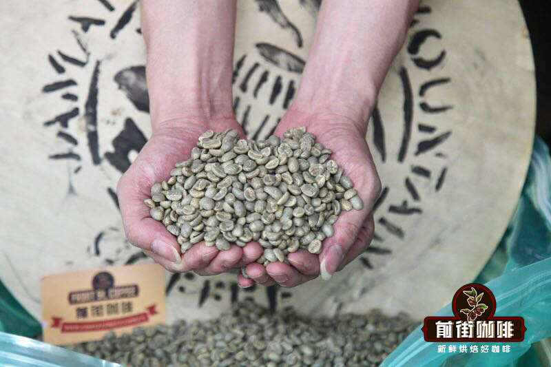 Jamaican Blue Mountain No. 1 coffee beans