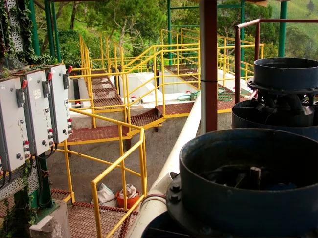 Coffee washing process