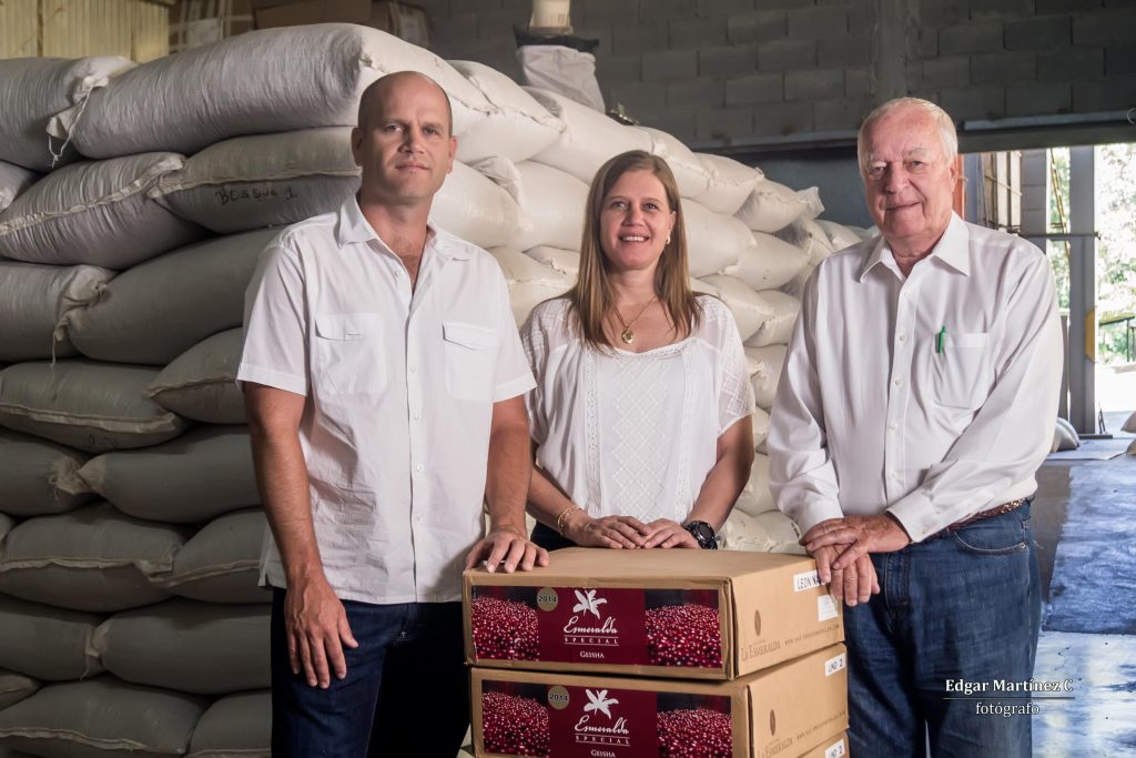 Panama Boquete Geisha Coffee Bean Flavor Description - Geisha Coffee Bean Variety Origin Story