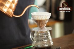 What is the Best Pour-Over Coffee Powder-to-Water Ratio? How Much Water is Needed for 20g of Coffee Grounds?