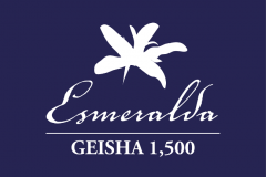 How to Brew Hacienda La Esmeralda Gesha? Panama Coffee Bean Guide & The Prestige of Gesha Coffee