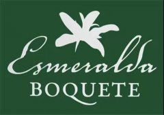 Panama Reserve Coffee Beans, The Secret of Green Label Geisha Variety, Why is Geisha So Special?