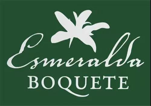 Green Label Geisha Coffee Beans