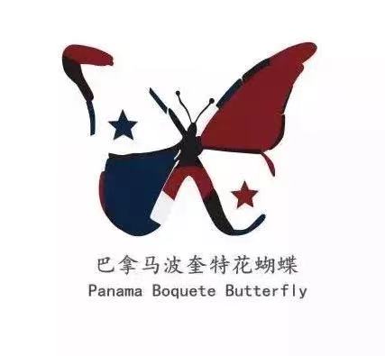 Coffee varieties growing together in Panama fields