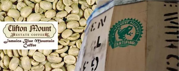 Clifton Estate landscape