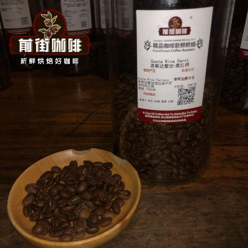 FrontStreet Coffee Costa Rica Mozart coffee beans