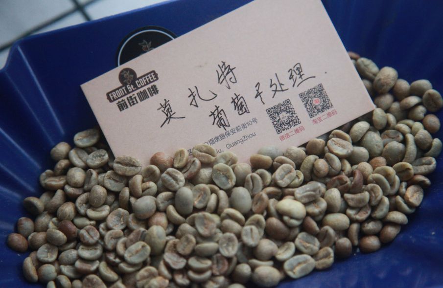 Coffee cultivation in Costa Rica's volcanic soil