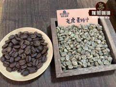 What is Mandailing Tiger Coffee? Introduction to the Flavor Profile of Indonesian Tiger Mandailing Coffee Beans
