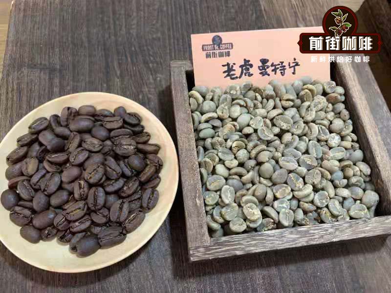 Tiger Mandheling Coffee Beans