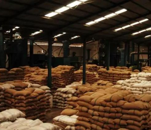 Aged Mandheling Processing Method